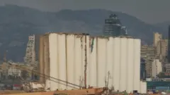 صوامع القمح