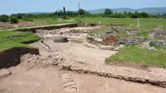 Medijana