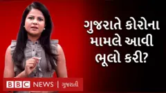 વીડિયો