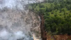 kebakaran hutan