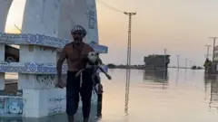 سندھ