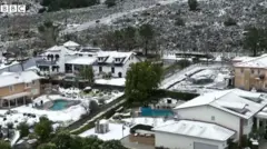 பனிப்பொழிவு