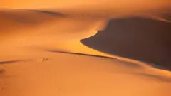 ریت