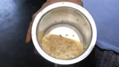 मुंग्या