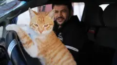 Alaa and Ernesto