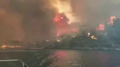 তুরস্কের বনাঞ্চল পুড়ছে।