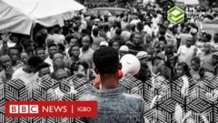 Ndị gbakọrọ maka ntụliaka
