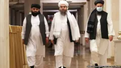 तालिबान