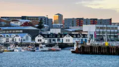 Hoton wani gini a bayan wani ruwa da jiragen ruwa ke ciki