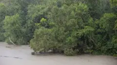 সুন্দরবন না থাকলে উপকূলে বড় ধরণের তাণ্ডব হতে পারতো বলে বিশ্লেষকরা মনে করছেন।
