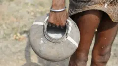 కల్లు