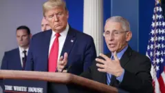 Trump y Fauci