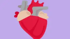 હૃદય