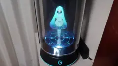 அனிமேஷன் பாத்திரத்தை திருமணம் செய்துகொண்ட இளைஞர்