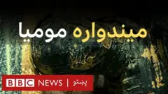 د پولنډي پوهانو یوې ډلې د پنجشنبې په ورځ د یوې مصرۍ مومیا شوې ښځې د میندوارۍ حالت اعلان کړ.