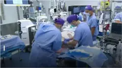 Hand and Face Transplant