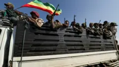ሓይልታት ክልል ኣምሓራ