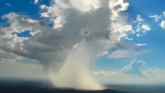 Ríos voladores
