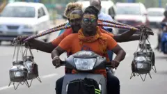 प्रातिनिधिक छायाचित्र