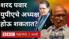 शरद पवार, संयुक्त पुरोगामी आघाडी, सोनिया गांधी