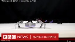 робот