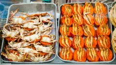 Isso wade and crab wade in trays