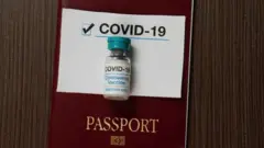 Vaccine passport
