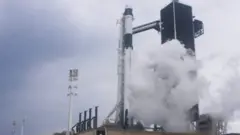 Наса
