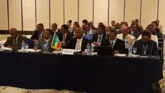 Wal gahii ministeroota bishaanii Itoophiyaa, Sudaan fi Gibtsi Finfinneetti taa'ame Amajji 8 fi 9, 2020.