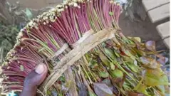 Khat