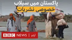 سیلاب