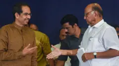 पवार