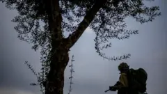 EFD