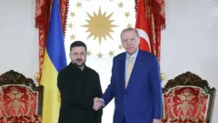 Зеленский и Эрдоган жмут руки на фоне флагов Украины и Турции