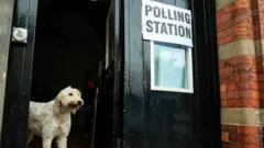 A dog standing in a doorway next to next to a sign saying "polling station"