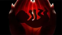 प्रतीकात्मक फोटो