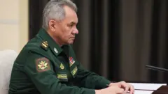 Шойгу на встрече с Путиным
