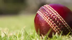 Cricket Ball