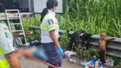 Police and immigration officers inspecting the scene where Wilder was found