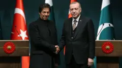 عمران خان اور طیب رجب اردگان
