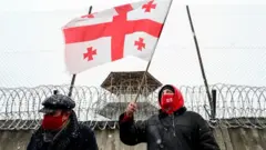 Активисты поддерживают главу ЕДН Нику Мелия
