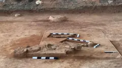 கீழடியில் கண்டெடுக்கப்பட்ட எலும்புக்கூடு ஆராய்ச்சிக்கு நிதி வர தாமதம் என குற்றச்சாட்டு