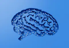 फिटनेस बँड विसरा, शरीर किती चाललंय हे मेंदू आपोआप मोजतो; शास्त्रज्ञांनी शोधलं मेंदूतलं स्मार्टवॉच