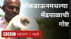 सतत फिरस्तीवर असणाऱ्या मेंढपाळांना लॉकडाऊनमुळं सध्या ‌मोठा फटका बसलाय.