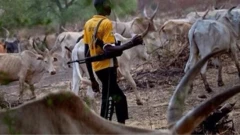Darandaran to gbe ibọn lọwọ maa da ẹran nigboro