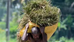 இலங்கை விவசாயிகள்