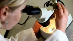 prostate cancer