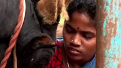આખલા સાથે મિત્રતા કરનાર છોકરી