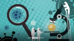 خرافات كورونا: فيروس كورونا طبيعي أم مصنع