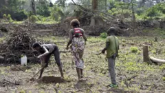 Ndị na-akọ ugbo n'ala